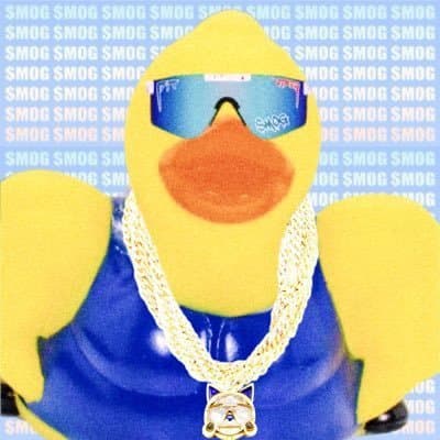 Duck_Mogginz avatar